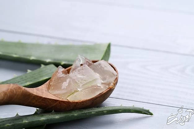 ژل آلوئه ورا برای رفع منافذ باز پوست ژل آلوئه ورا